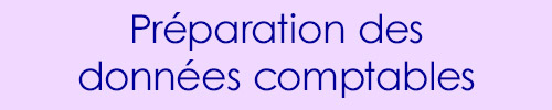 Préparation des données comptables Préparation des données comptables