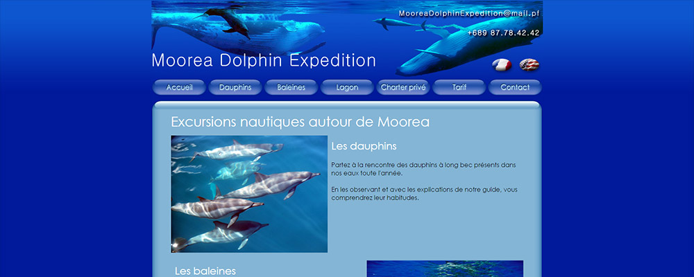 Moorea Dolphin Expedition
